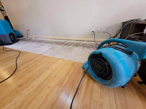 Professional Water Damage Repair technician working in Pittsburg, KS